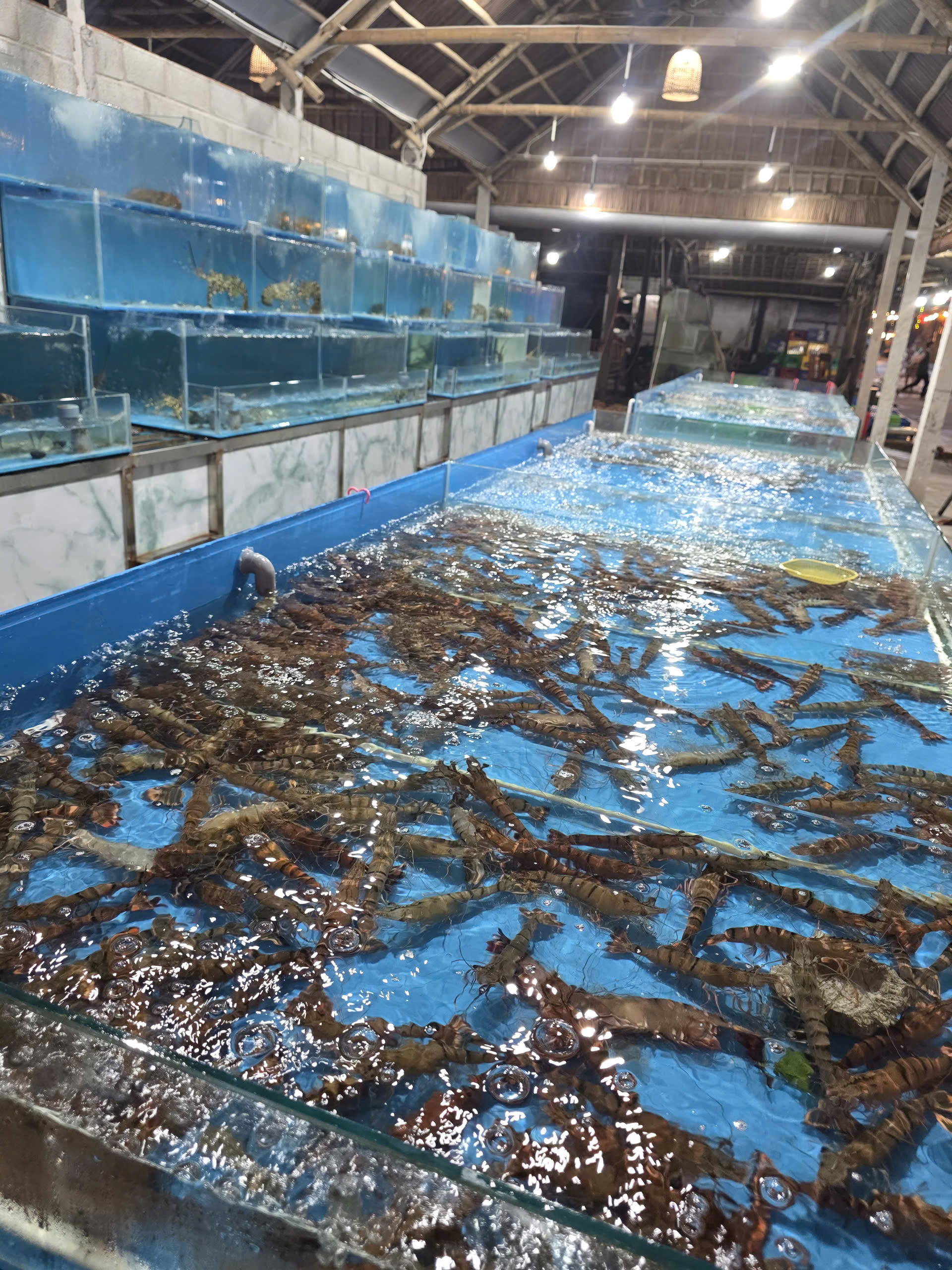 Seafood tanks
