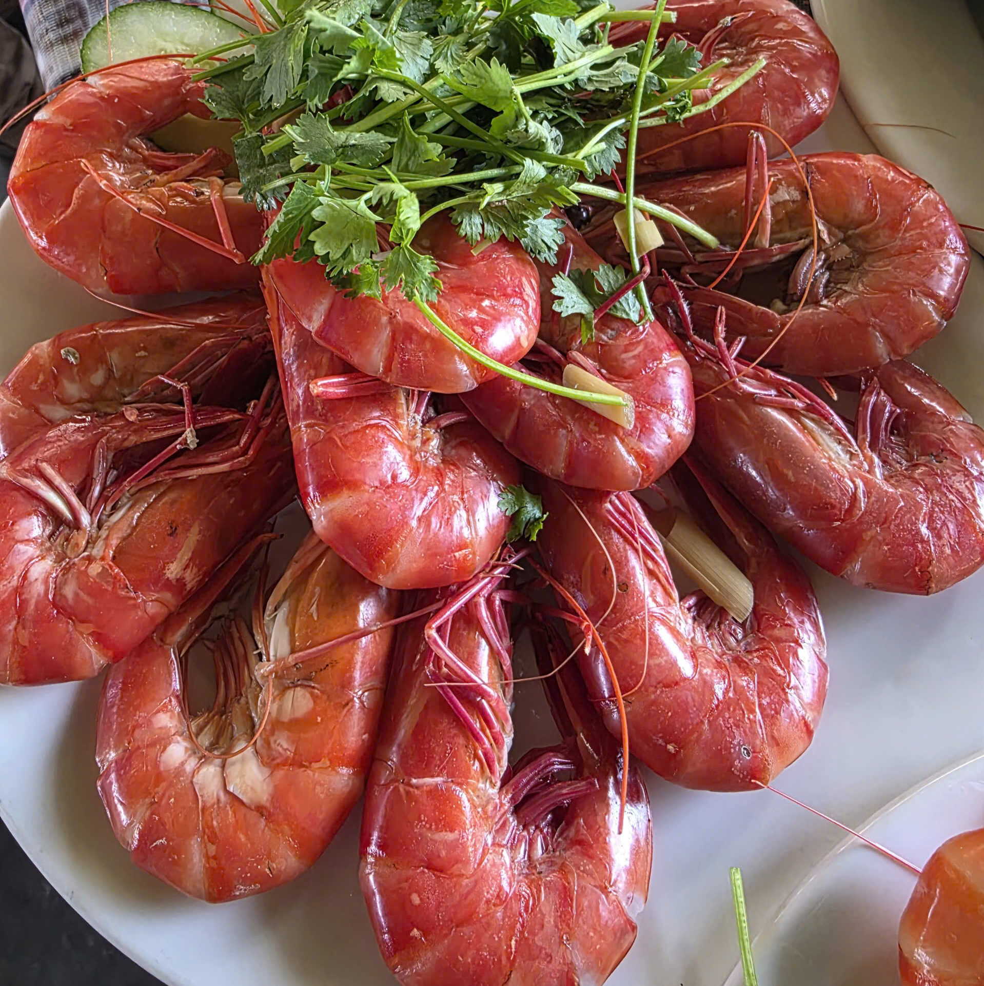 Appetizers